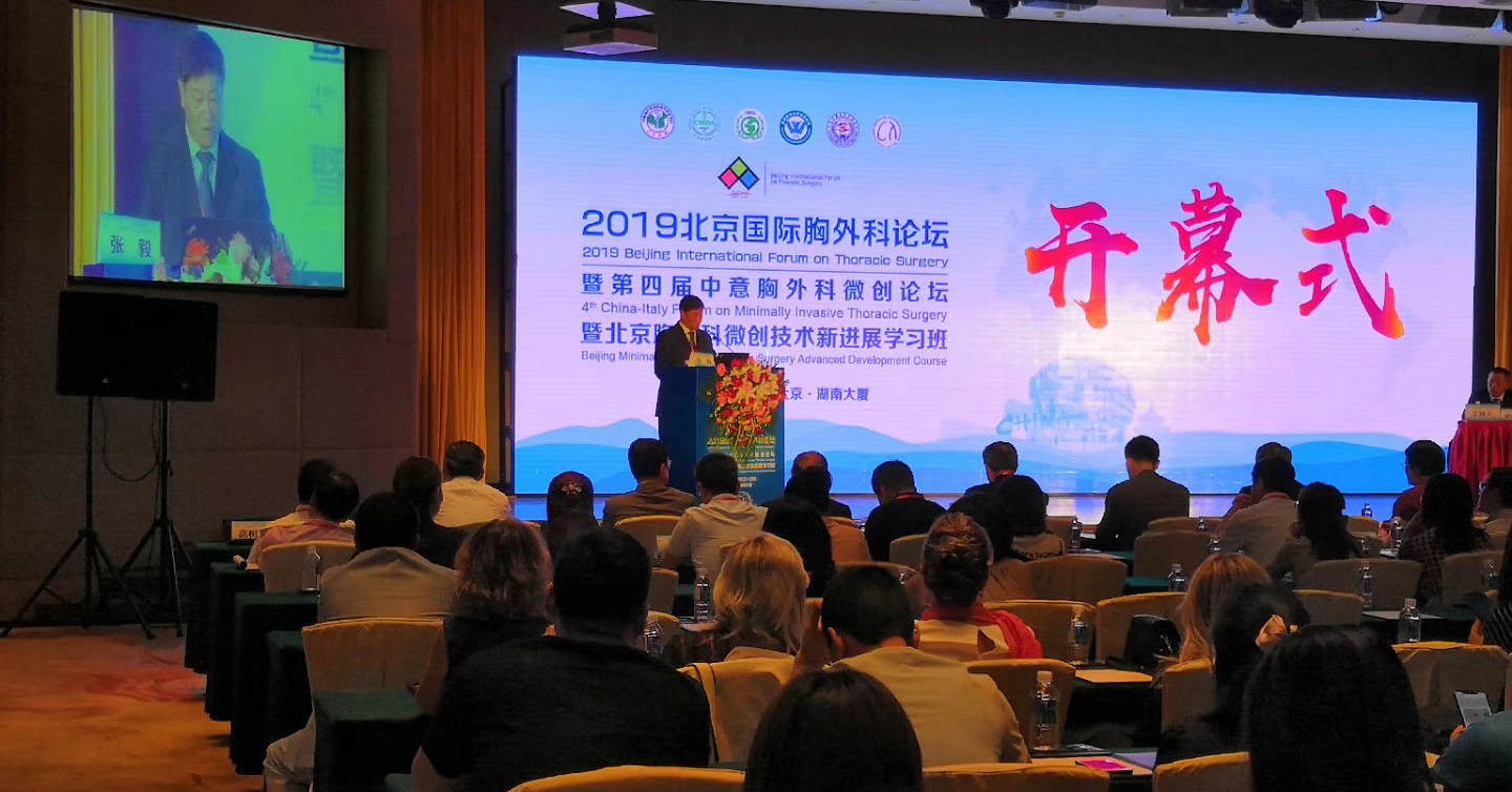 中意论坛封面 中意论坛封面